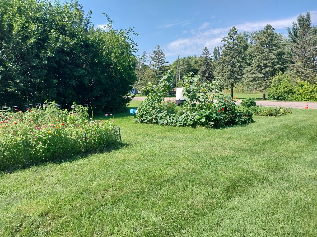 Flowers and Plants