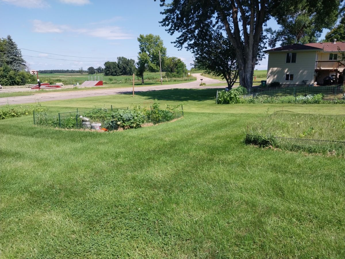 Gardens and Flowers